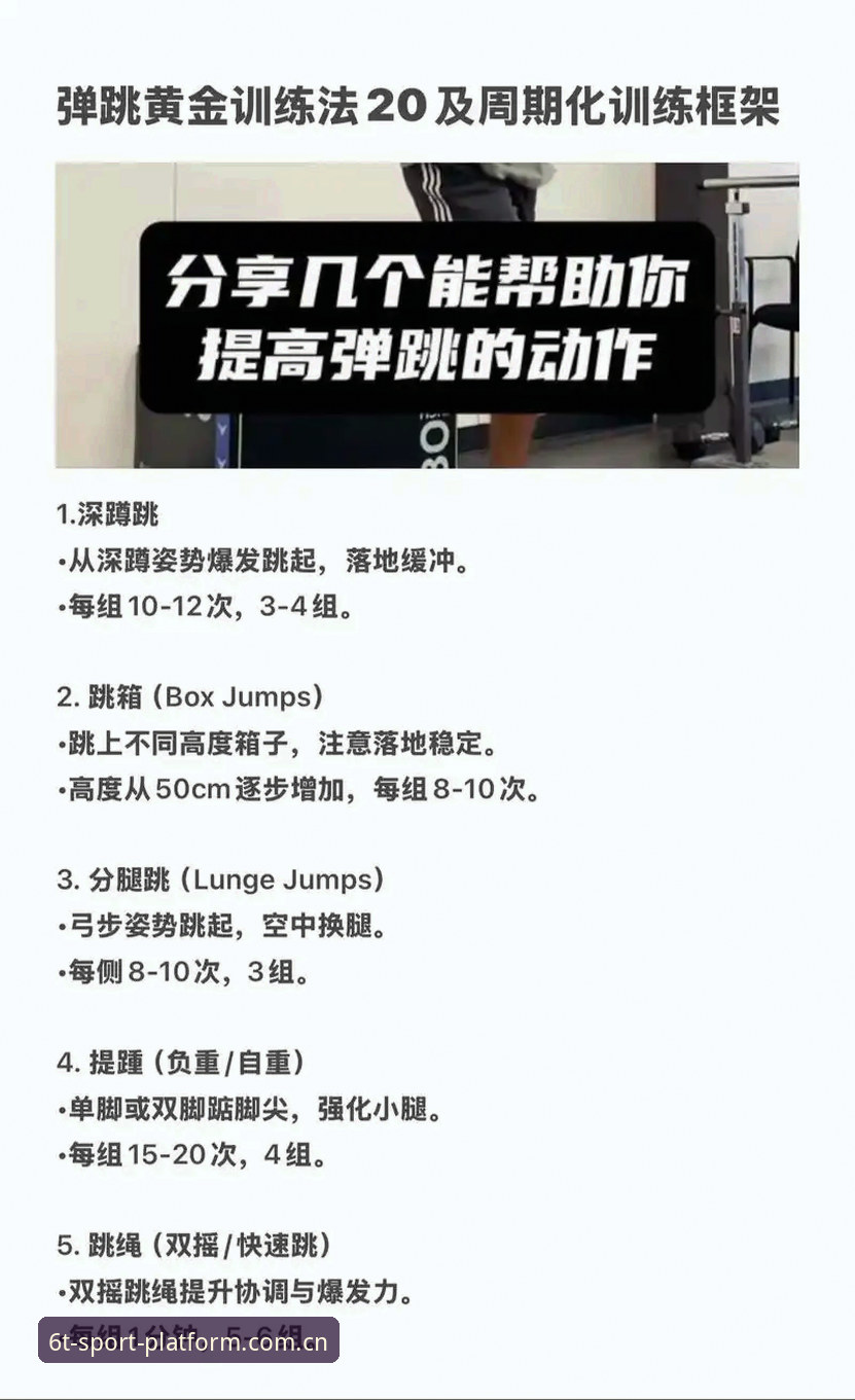 T体育体育赛事功能详解 T体育赛事功能的7大实战技巧,助你秒变资深玩家